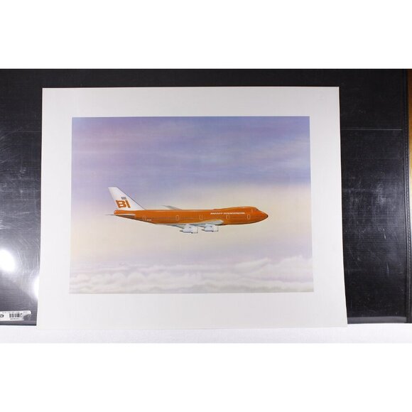 Bright Red Braniff International plane travel poster 16x20" on pastel sky, - Picture 2 of 5